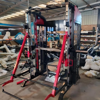 Multifunction Gym Machine - MR155 | Professional - Side View 2