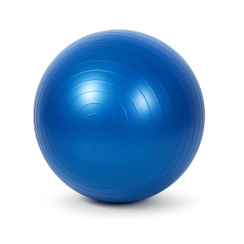 Fitness Ball 65 cm - Palla da Allenamento | Yoga e Pilates - Visuale Completa