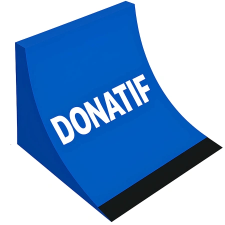 Rampa de skate con borde plano - RMP11 | Profesional - Vista completa