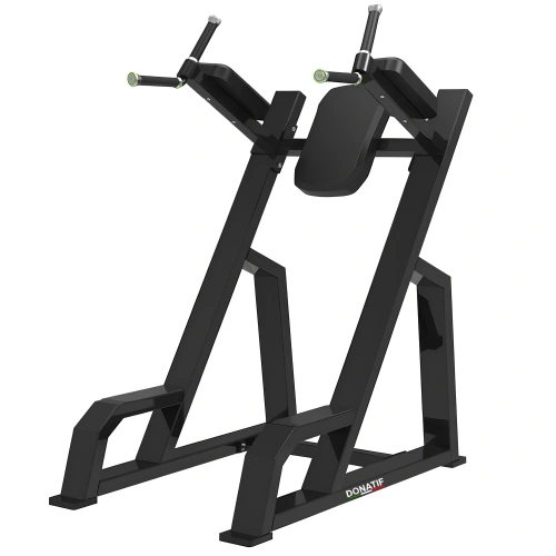 Vertical Knee-Up and Professional Dip - FMT | Tailor-made - Full view