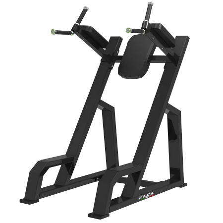 Vertical Knee-Up and Professional Dip - FMT | Tailor-made - Full view