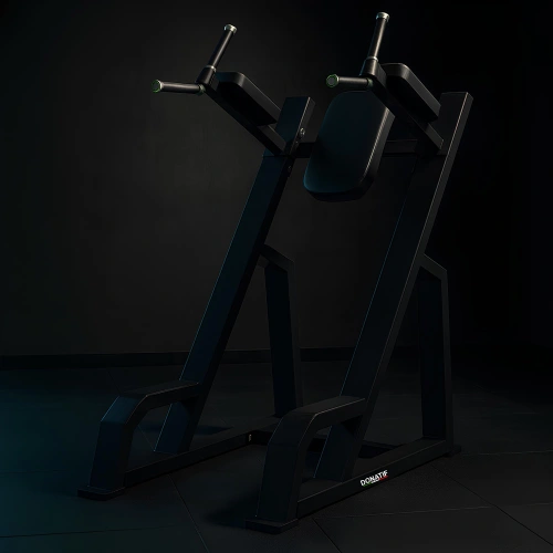 Vertikaler Knee-Up und Professional Dip - FMT | Maßgeschneidert - Anwendung