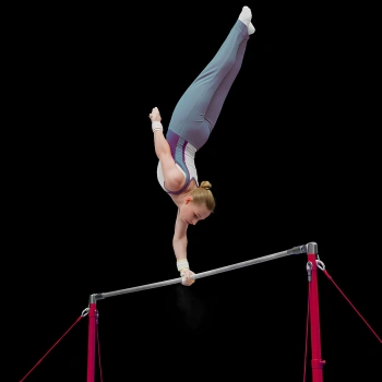 Horizontal Vaulting Bar - GA13 | Competition - Full View 2