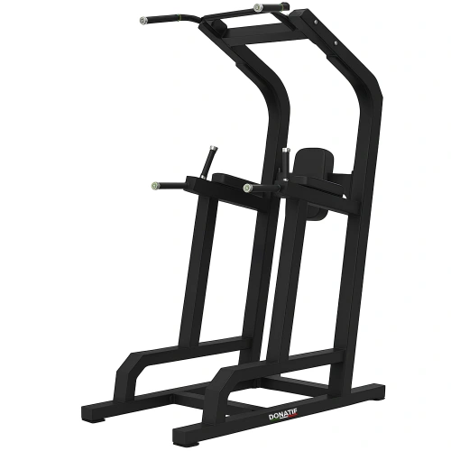 Dip & Leg Raise Station - FMT | Tailor-made - Full view