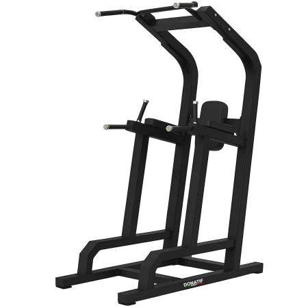 Dip & Leg Raise Station - FMT | Tailor-made - Full view