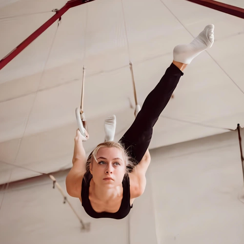 Castle for Rings - GA26 | Competition - Full Exercise View