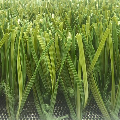 Synthetic Lawn No Infill - 30 mm | Indoor and Outdoor Football - Front View