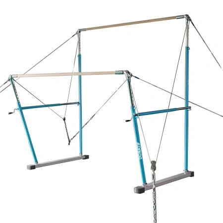 Parallele Asimmetriche per Competizione - GA33