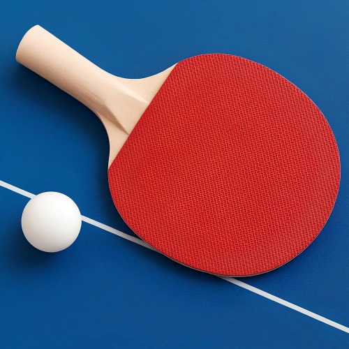 PVC Floor for Table Tennis - 6 mm thick | Indoor - Racquet View