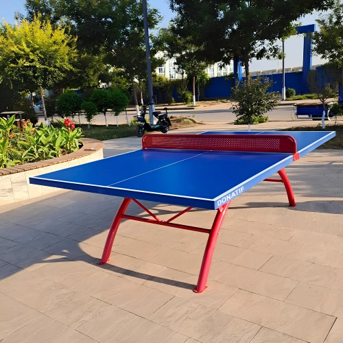 Outdoor Tischtennisplatte - COH80 | Professionell - Echte Produktansicht