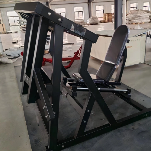 Seitliche Beinpresse - RFA | Functional Training - Fitnessstudio - Nahaufnahme