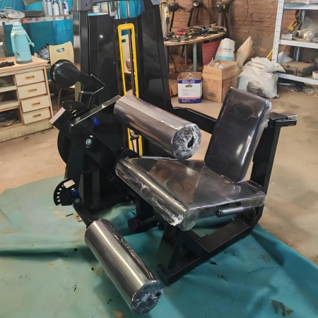 Leg Extensions & Leg Curl - FMT | Weight stack included - close-up view