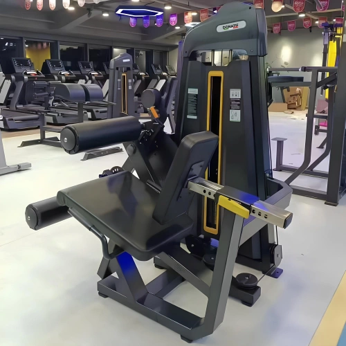 Leg Extensions & Leg Curl - FMT | Weight Box Included - Rear View