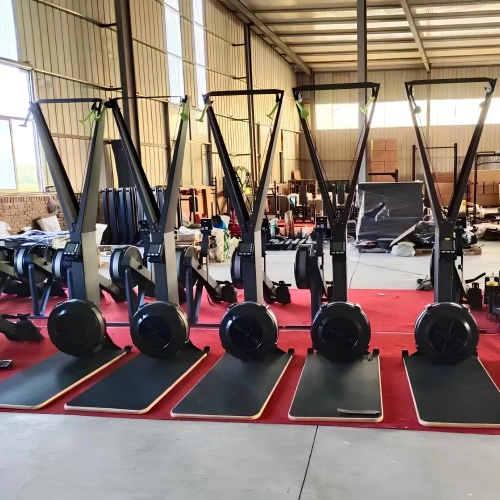 Entrenador de esquí de aire - CF20 | Máquina de gimnasio multifunción - Vista total