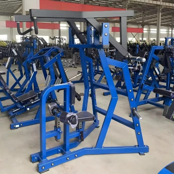 Lateral Low Rowing - RFA | Functional Training - Gym - Full Equipment View 2