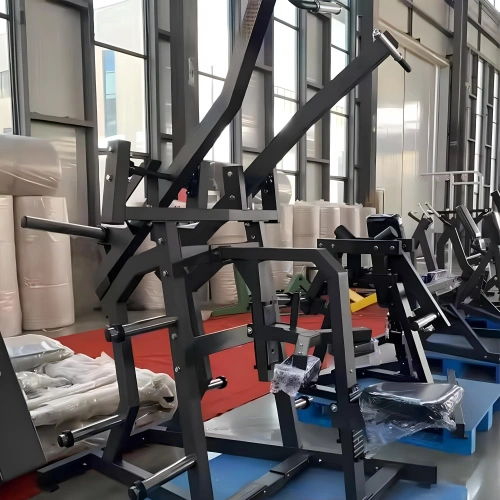 Seitlicher Latzug nach unten - RFA | Functional Training - Ansicht links