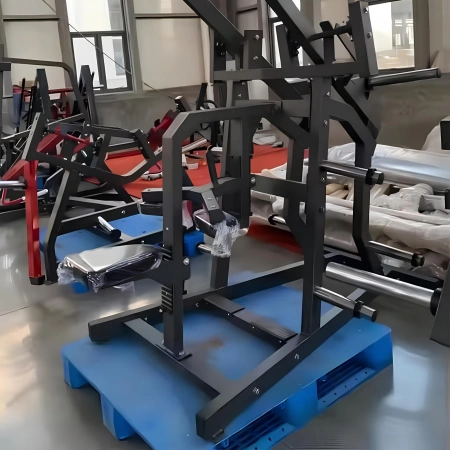 Seitlicher Latzug nach unten - RFA | Functional Training - Gesamtansicht