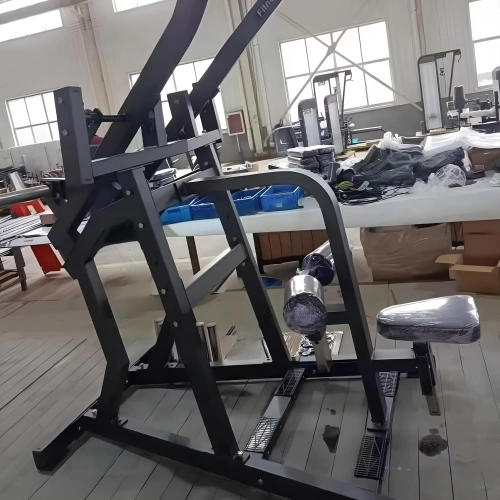 Seitlicher Latzug nach unten - RFA | Functional Training - Schrägsicht