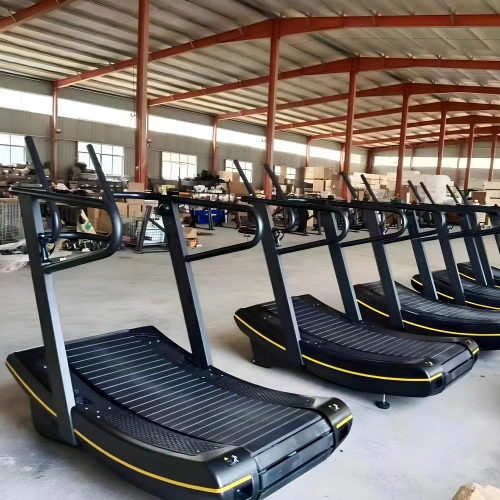 Tapis de course à résistance réglable - TRC25 | Professionnel - Vue complète de la chambre