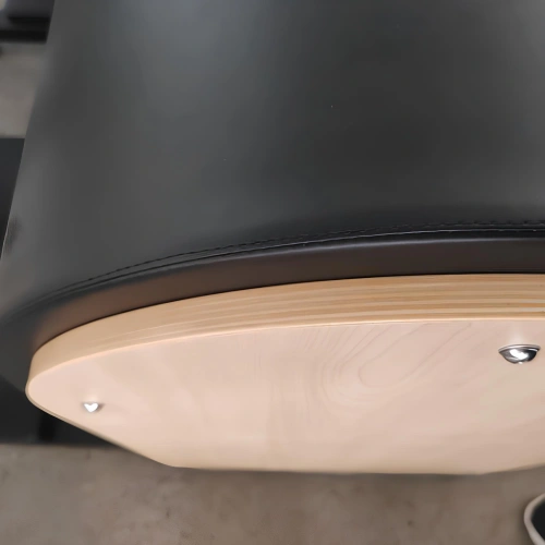 Ladder Barrel for Body Balancing - PM2 | Professional - Close-up view