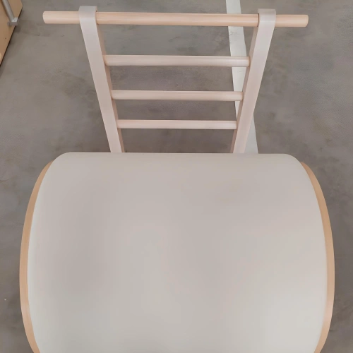 Ladder Barrel for Body Balancing - PM2 | Professional - Top View