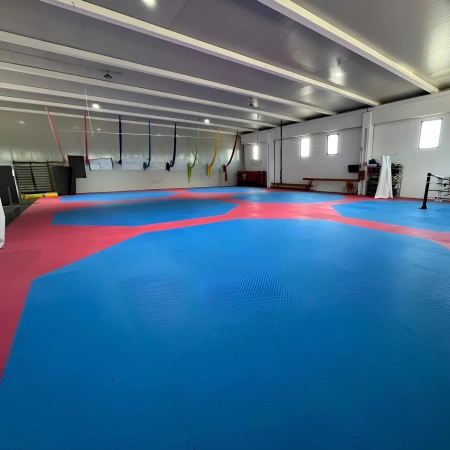 Tatami Eva a Puzzle 100x100x3 cm | Judo e Arti Marziali