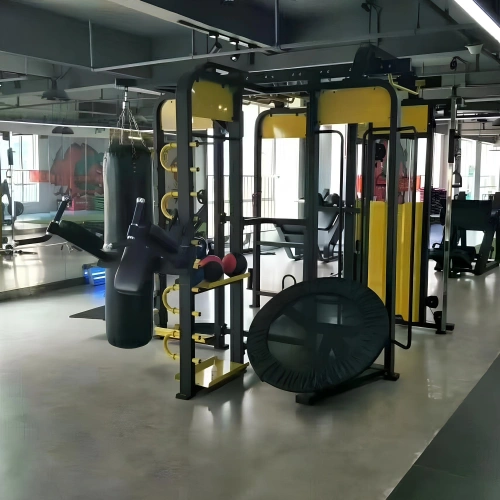 Gimnasio multifuncional - RFA | Personalizable - Vista completa