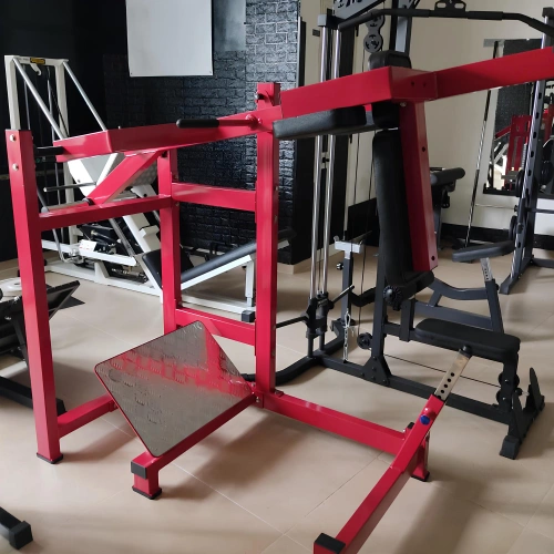 Machine à squat pendulaire - Professionnel | Personnalisable - Vue complète de la chambre