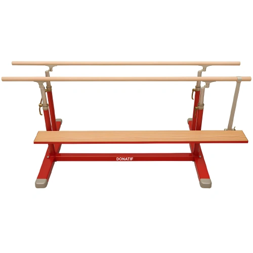 Piattaforma di Assistenza Parallele - GA4 | Professionale - Visuale Completa Lato Opposto