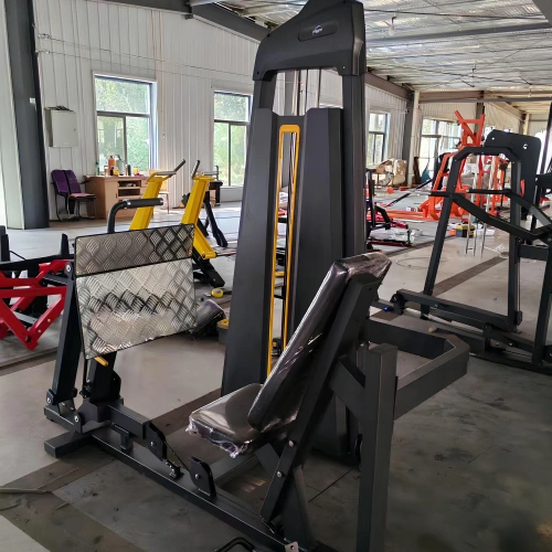 Seated Leg Press - FMT | Weight pack included | Customized - Rear View Machinery