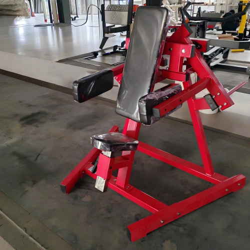 Sitzende Delt-Maschine - SAB | Functional Training - Vollständiger Blick auf den Raum