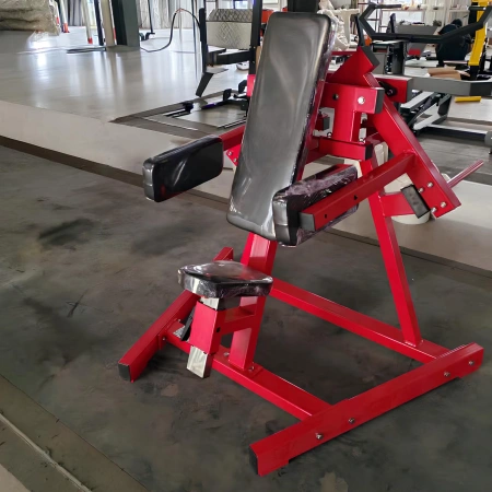 Sitzende Delt-Maschine - SAB | Functional Training - Vollständiger Blick auf den Raum