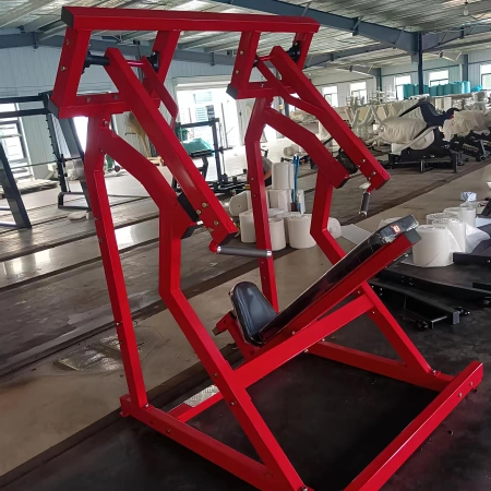 Seitliche Schulterpresse - RFA | Functional Training - Rückansicht