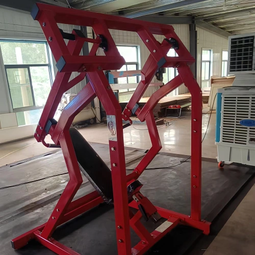 Lateral Shoulder Press - RFA | Functional Training - Close-up View