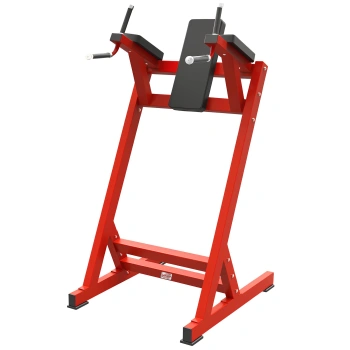 Vertical Knee Raise Machine - RFA | Functional Training - Full View of the Equipment