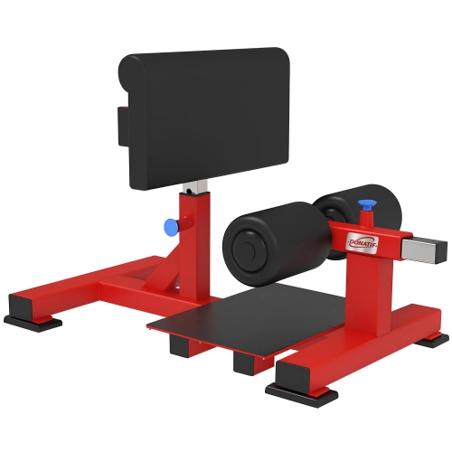 Sissy Kniebeuge Maschine - RFA | Functional Training - Gesamtansicht