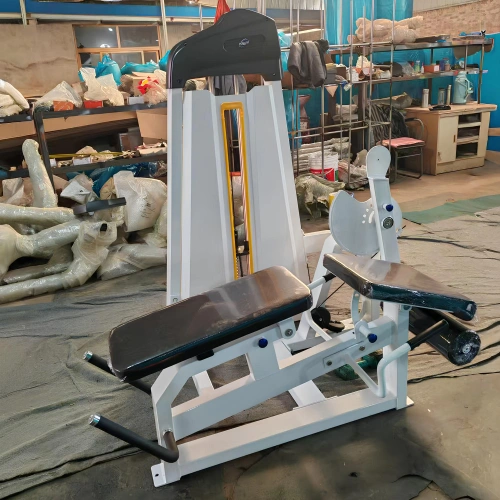 Beinstreckung im Sitzen und Beugen der Beine in Bauchlage - FMT | Kundenspezifisch - Gesamtansicht der Maschine