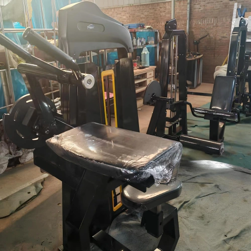 Machine à triceps assis - FMT | Pack de poids inclus | Sur-mesure - Vue arrière