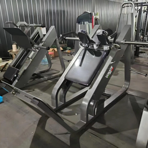 Hack Squat - FMT | Professionnel - Personnalisable - Vue de la chambre