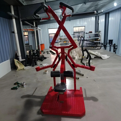 Plate Loaded Lat Pulldown - RFA | Allenamento...