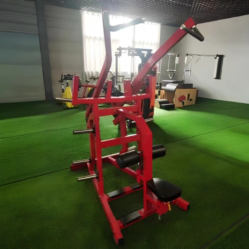 Seitlicher Latzug nach unten - RFA | Functional Training - Vollständiger Blick auf den Raum