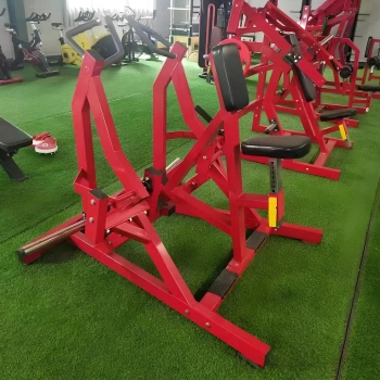 Lateral Row - RFA | Functional Training - Gym - Full Equipment View 2