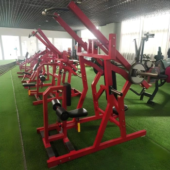 High Row Machine - RFA | Functional Training - Gym - Full Equipment View 2