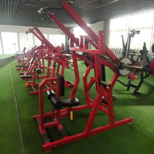 Maschine mit hoher Reihe - RFA | Functional Training - Fitnessraum - Zimmeransicht