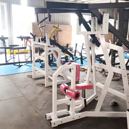 Lateral Low Rowing - RFA | Functional Training - Gym - Room View