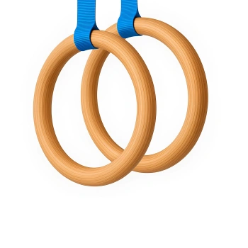 Artistic Gymnastics Rings - GA80 | Professional - Full View 2