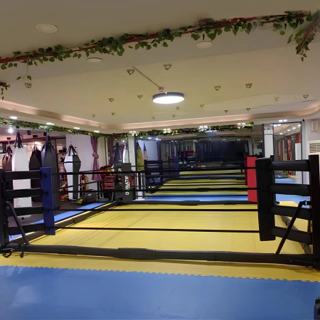 Boxing Ring - Folding Ground Boxing | Tailor-made - Combat Room Usage View