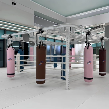 Struttura con Scaletta e Sacchi - SC120 | Professionale 2