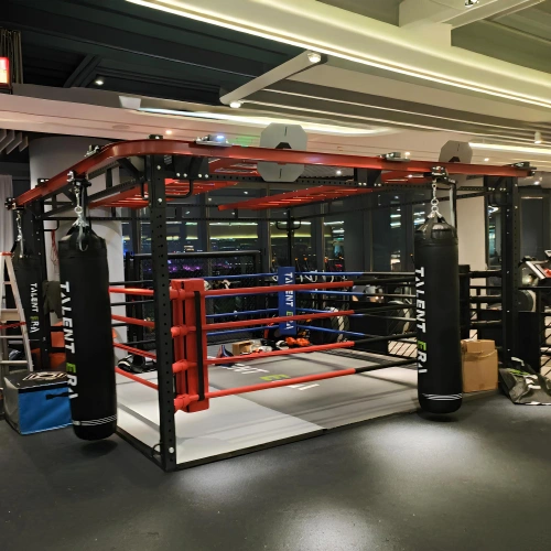 Ring mit drehbarer Taschenhalterstruktur - SC180 - Kundenstruktur Ansicht