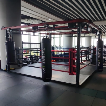 Ring con Struttura Porta Sacchi Girevoli - SC180 2